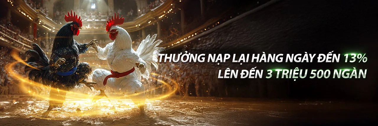Hình ảnh giới thiệu ZM88, nền tảng cá cược trực tuyến hàng đầu